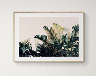 Palm Tree Print, Paradise #4, Boho Art, Green Leaf Print, Banana Leaf Photograph, Botanical Art Photograph, Oversize Art, Tropical Art Print