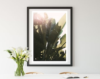 Palm Tree Print, Banana Leaf Photograph, Green Art, Green Heat, Tropical Leaf Print, Bohemian Print,  Botanical Art, Oversized Art Print
