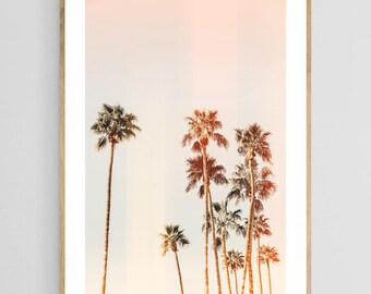 Stampa di palme, arte tropicale, palme della California 1, arte murale con palme, stampa della California, stampa artistica boho, foto di alberi, fotografia di palme