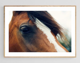 Fotografia de Cavalo, Fotografia de Natureza, Olho, Arte Equina, Impressão Equestre, Arte Moderna, Alicia Bock, Arte de Grande Formato, Arte Animal, Retrato Grande