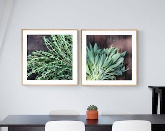 Kitchen Herb Print Set, Save 15%, Sale Print, Herb Photograph, Botanical Print, Thyme Art, Kitchen Photograph, Sage Photo, Kitchen Art