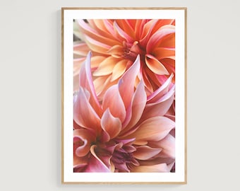 Dahlia Print, Nature Print, Flower Photograph, Connection #2, Fine Art Photograph, Floral Art, Botanical Print, Oversized Art, Flower Photo