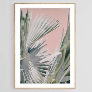 Palm Tree Print, Pink Bismarck, Tropical Art, Palm Tree Wall Art, Tropical Print, Florida Print, Oversized Art, Beach Decor, Coastal Art