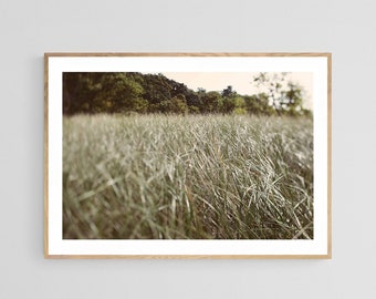 Dune Grass Art Print, Beach Art, Michigan Art, Greener Days, Coastal Art Print, Oversized Art, Lake Michigan Art Print, Beach Grass Print