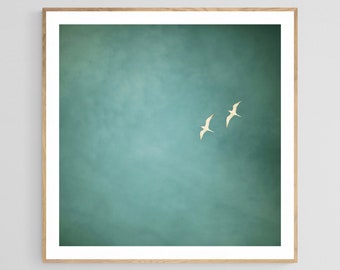 Bird Print, Beach Photography, Nature Photography, Two Birds, Florida Art, Coastal Art, Beach Art, Summer Print, Bird Photography, Oversized