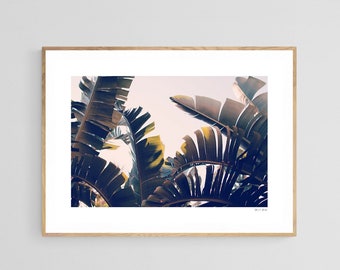 Palm Tree Print, Banana Leaf Art Print, Leaf Print, Florida Art Print, Flexibility, Tropical Leaf Photograph, California Print, Oversize Art