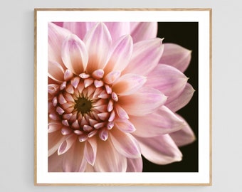 Dahlia Print, Macro Flower Photograph, Delightfully Dahlia, Fine Art Photograph,Floral Art, Botanical Print, Oversized Art, Flower Photo