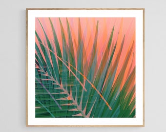 Abstract Palm Tree Print, Tropical Wall Art, Palm Tree Art, Sun Burn #3, Florida Art Print, Oversized Art, Abstract Wall Art, Tropical Photo