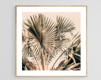 Palm Tree Print, Tropical Art, Palm Art, Morning Star, Fine Art Print, California Print, Florida Art Print, Botanical Art, Tropical Photo