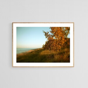 Autumn Art Print, Fall Wall Art, Michigan Art, Autumn Art, Lake Michigan Art Print, Amber, Michigan Decor, Autumn Decor, Beach Art Print image 1