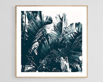 Cyanotype Print, Banana Leaf Art, Palm Tree Photo, Florida Art, Tree Print, Blue Art, Fine Art Photograph, Oversized Art, Leaf Print, Nature