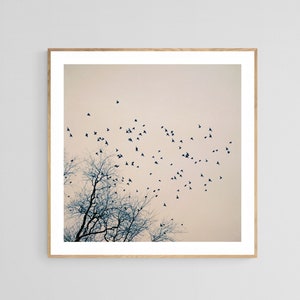 Bird Art Print, Birds In Flight, Flying Birds Print, Tree Photograph, Restless, Tree Art, Winter Photograph, Minimalist Art, Pink Art Print