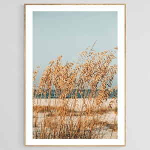 Beach Grass Print, Sea Oat 5, Dune Grass Print, Coastal Art, Coastal Photo, Florida Print, Florida Photograph, Beach Art Print, Sea Oats Art