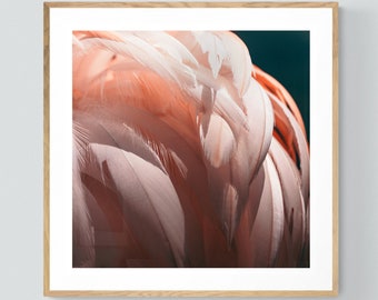 Flamingo Print, Bird Print, Feather Art, Flamingo #3, Animal Print, Nature Photograph, Pink Art, Oversized Wall Decor, Bird Photograph, Bock