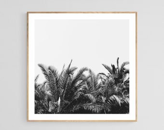 Palm Tree Print, Black and White Photography, Tropical Art, Palm Breeze, Tropical Print, Palm Tree Photograph, Florida Print, Oversized Art