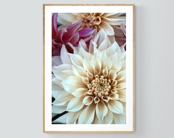 Fotografia di dalia, stampa naturalistica, opera d'arte floreale, connessione n. 3, fotografia d'arte, arte floreale, stampa botanica, opera d'arte di grandi dimensioni, foto di fiori