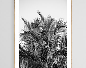 Palm Tree Art, No 13, Coastal Wall Decor, Black and White Photo, Tropical Artwork, Botanical Picture, Nature Photograph, Modern Decor