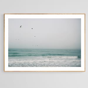 Beach Art, Ocean Photography, Ghost Birds, Siesta Key Print, Florida Photo, Beach Wall Art, Gulf Coast Art, Coastal Art Print, Beach Print