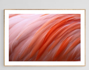 Flamingo Print, Flamingo #8, Bird Art, Bird Print, Feather Print, Feather Art, Fine Art Photograph, Animal Art, Flamingo Art, Nature Photo