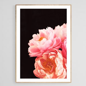 Peony Photograph, Flower Art, Peony Wall Art, Botanical Art Print, Haute Couture #2, Peony Flower Print, Floral Art Print, Flower Photo