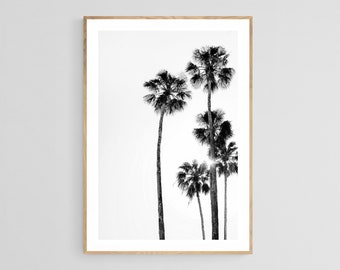 Palm Tree Print, Shine On, Palm Tree Art, Black and White Photograph, Tropical Art, Botanical Art, Tropical Photograph, Modern Art Print