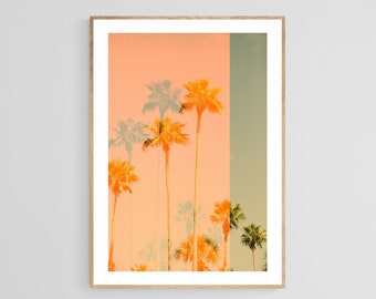 Palm Tree Photograph, Someday Soon, Tropical Art Print, Palm Tree Print, California Art, Florida Print, Oversize Photo, Bismarck Palm