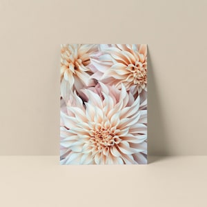 May include: A rectangular print featuring a close-up of several peach-colored dahlia flowers. The flowers have multiple layers of delicate petals, with a soft, blurred background. The print is displayed on a neutral-toned surface.