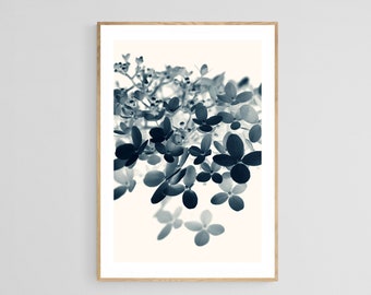 Cyanotype Print, Hydrangea Print, Floral Print, Botanical Photograph, Cyan Hydrangea #1, Fine Art Photo, Wall Art, Oversized Art, Blue Print