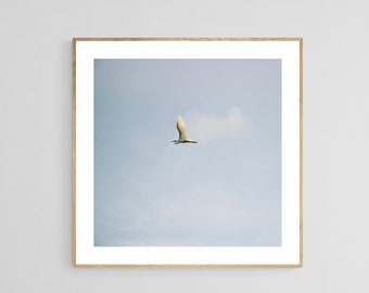 Egret Print, Bird Print, Feather Art, Wing Photograph, Animal Print, Nature Photograph, Oversized Wall Decor, Bird Photograph, Egret Photo