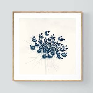 Bloemenkunst, cyanotypie, bloemenprint, botanische foto, The Queen in Blue, Queen Anne&#39;s Lace Art, oversized muurdecoratie, blauwe print