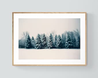 Woodland Art Print, Hygee, Vintage Christmas, Winter Art, Snow Photography, Winter and Woods, Christmas Art, Tree Print, Housewarming Gift