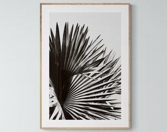 Palm Tree Print, Fotografía en blanco y negro, Arte tropical, Fotografía de viaje, No. 8, Impresión tropical, Impresión de arte de California, Florida, Sobredimensionamiento