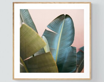 Palm Tree Print, Tropic Pink #2, Banana Tree Art, Banana Leaf Print, Fine Art Print, Tropical Decor,  Botanical Art Print, Florida Art Print