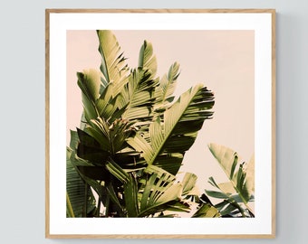 Banana Leaf Print, Tropical Art, In My Place, Florida Print, California Print, Tropical Decor, Botanical Print, Palm Tree Photograph
