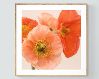 Flower Wall Art, Floral Photography, Poppy Print, Botanical Print, Old Fashioned #1, Home Decor, Gift For Her, Botanical Art Print, Poppies