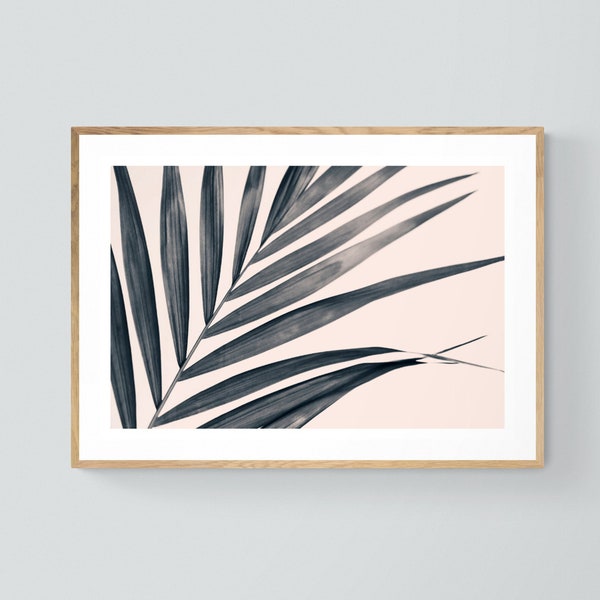 Palm Tree Print, Minimal Art, Minimalist Photograph, Tropical Art, Gray Palm #1, Tropical Print, Oversized Modern Art Print, Leaf Print