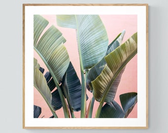 Palm Tree Print, Tropic Pink #3, Banana Tree Art, Banana Leaf Print, Fine Art Print, Tropical Decor,  Botanical Art Print, Florida Art Print