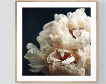 Peony Art, Flower Photograph, Peony Print, Loved Your More, Botanical Print, Floral Art, Gift For Mom, Peonies, Botanical Photograph, Bock