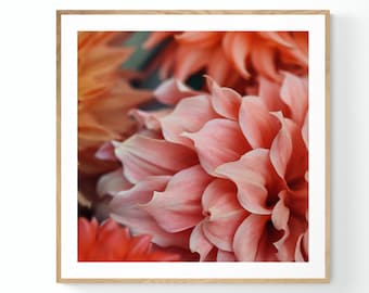 Impression Dahlia, Photographie de fleurs macro, Coexister, Photographie d’art, Art floral, Impression botanique, Art surdimensionné, Photographie d’art floral