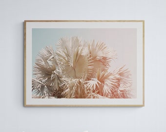 Palm Tree Print, Pastel Palms Photograph, Tropical Art, Tree Photography, Boho Art Print, California, Florida Photograph, Oversized Wall Art