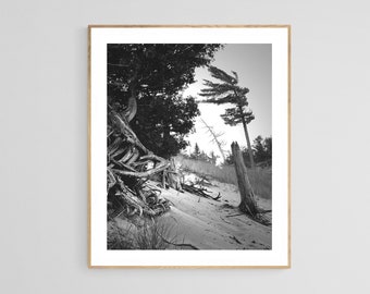 Michigan Photograph, Black and White Photo,  Beach Photo, Coastal Art Print, Coastal Wall Art, Beach Art, Harbor Springs Art, Petoskey Print