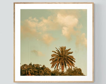 Palm Tree Print, Sun, Palm, Moon, Palm Tree Photograph, Tropical Decor, Botanical Art Print, Florida Print, St. Augustine Photo, Oversized