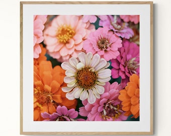 Zinnia Print, Macro Flower Photograph, First Floral, Summer Photo, Floral Art, Botanical Print, Oversized Art, Flower Photo, Zinnia Photo