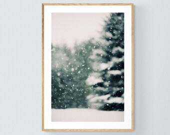 Woodland Art - Winter Photograph - Snow Photography - Winter Daydream #3 - Pine Tree - Snow Art- Winter Art - Michigan Art - Fine Art Photo