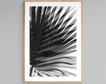 Impresión de palmera, Fotografía en blanco y negro, Arte tropical, Sombra de palma, Impresión tropical, Impresión artística de California, Florida, Decoración de pared de gran tamaño