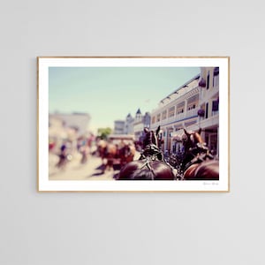 Mackinac Island Art Print, Horse Photograph, Mackinac Island Print, Mackinac Island Wall Art, Michigan Art Print, Mackinac Island Photograph