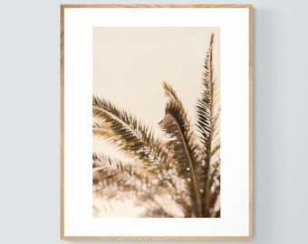 Palm Tree Print, Tropical Art, Florida Photograph, Pale Palm, Fine Art Photograph, California Print, Oversize Art Print, Tree Photograph