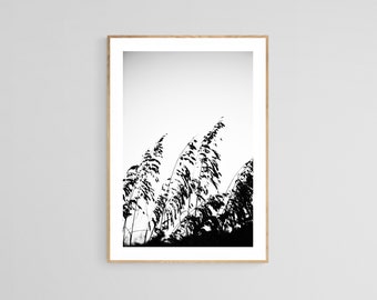 Beach Grass Print, Minimal Sea Oat 1, Dune Grass Print, Coastal Art, Coastal Photo, Black And White Photograph, Beach Art Print, Sea Oat Art