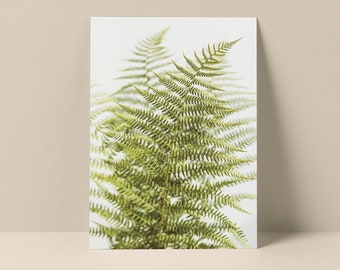 Fern Study Note Card, Fern Card, Fern Photograph, Botanical Note Card, Floral Note Card, Blank Card, Floral Art Print, Plant Art Print