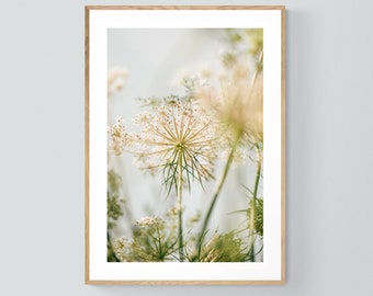 Impressão floral, Fotografia de renda-da-rainha-ana, Foto da Rainha Ana, Fotografia da natureza, Arte em tamanho grande, Fotografia de belas artes, Decoração para casa, Impressão floral